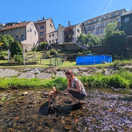 Апартаменты Urlaubstraum Mit Pool, Terrasse & Fluss Im Garten - Ut Зебниц Экстерьер фото