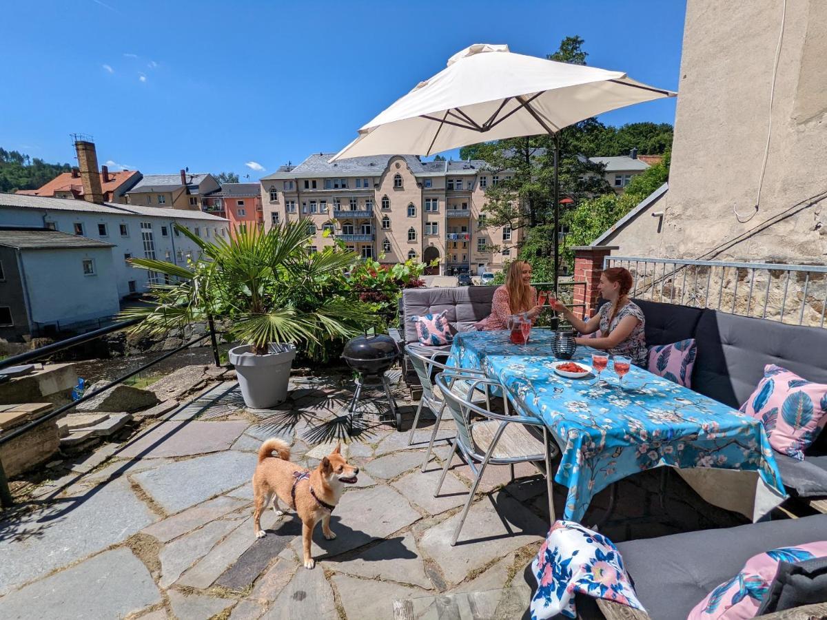 Апартаменты Urlaubstraum Mit Pool, Terrasse & Fluss Im Garten - Ut Зебниц Экстерьер фото