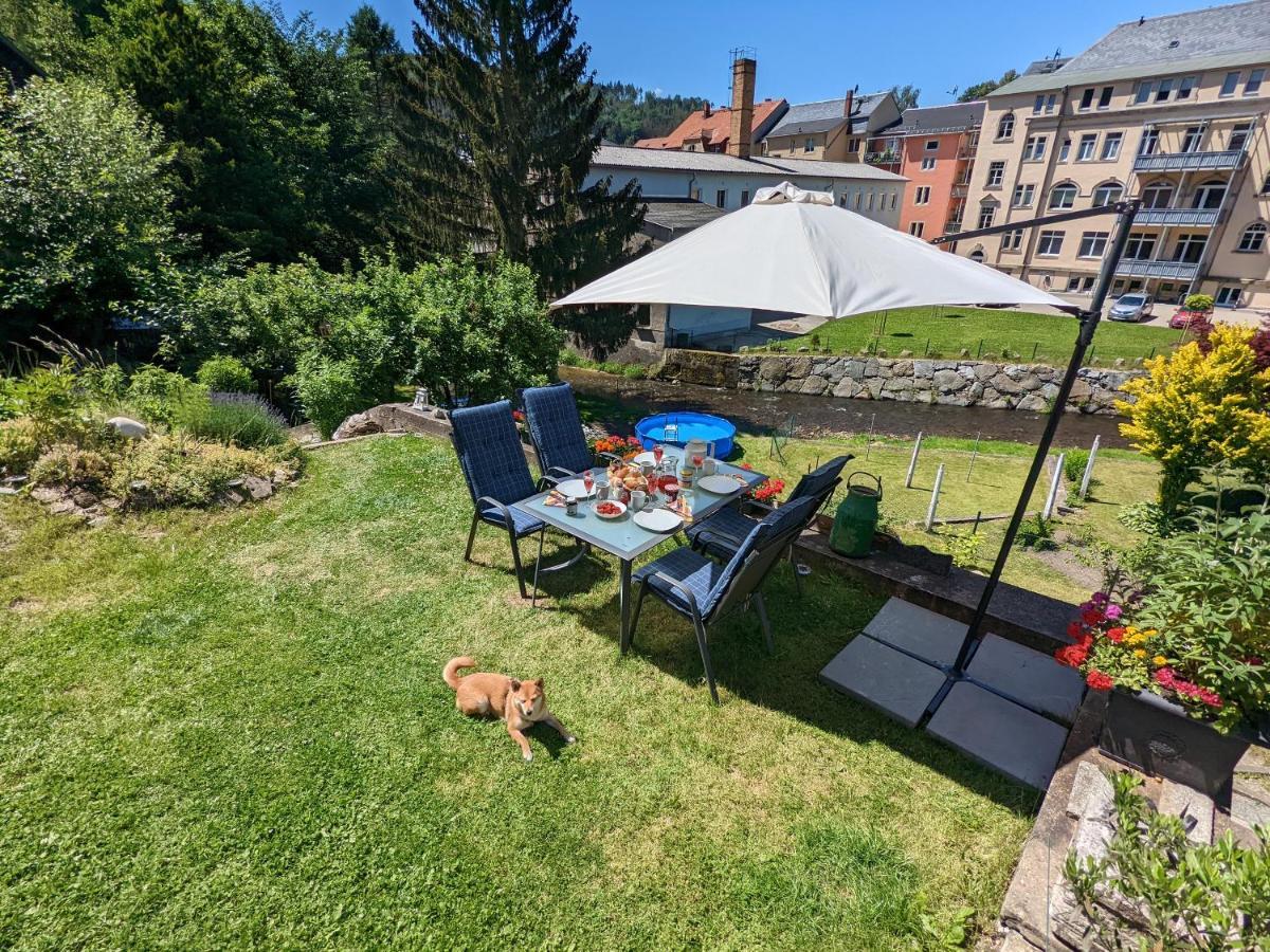 Апартаменты Urlaubstraum Mit Pool, Terrasse & Fluss Im Garten - Ut Зебниц Экстерьер фото
