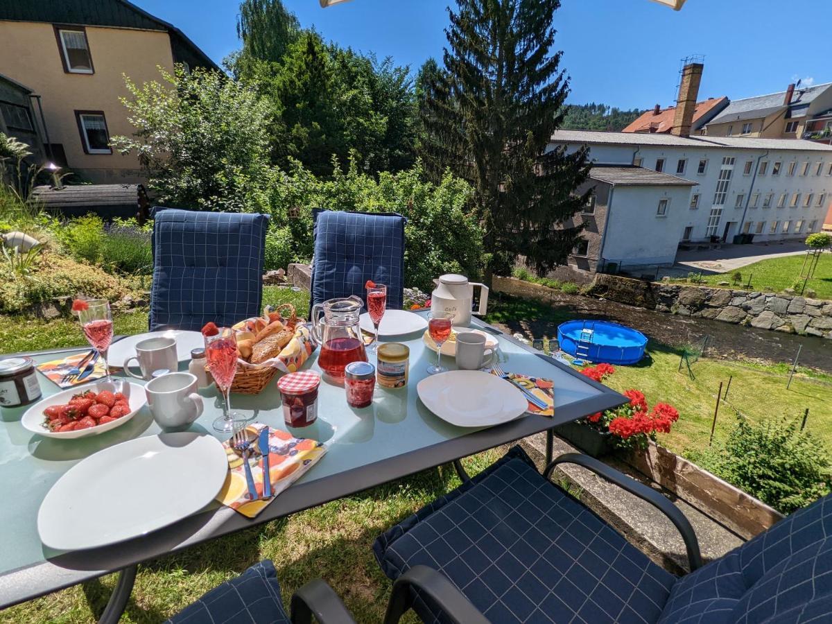 Апартаменты Urlaubstraum Mit Pool, Terrasse & Fluss Im Garten - Ut Зебниц Экстерьер фото